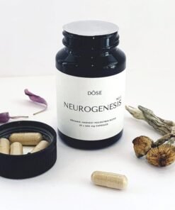 Each 500mg capsule combines Golden Teacher Psilocybin, high-potency Lion’s Mane extract, and Acetyl-L-Carnitine to deliver real results in focus, clarity, and cognitive performance.