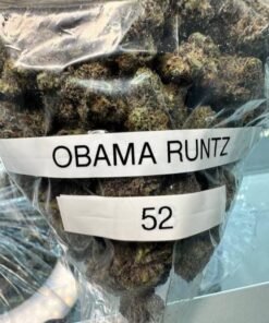 Obama Runtz