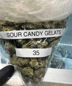 Sour Candy Gelats
