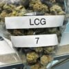LCG