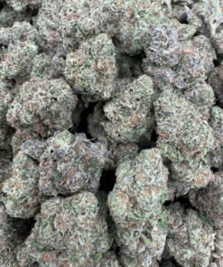 Sour Candy Runtz