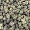 Bacio Gelato indoor smalls 😈