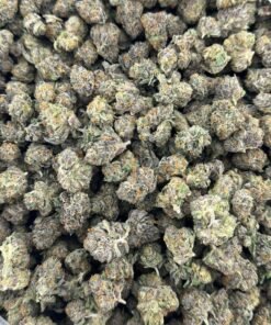 Bacio Gelato indoor smalls 😈