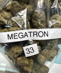 Megatron