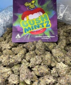 Gush Mintz