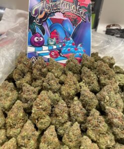Zkizzlandia