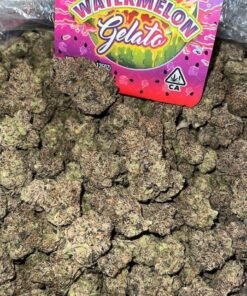 Watermelon gelato
