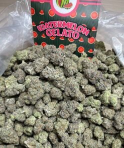 WATERMELON GELATO 🍧