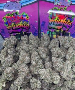 LOGANBERRY ZLUSHIE